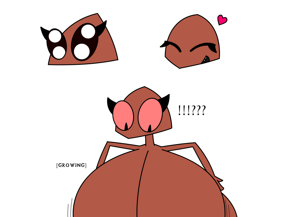 Head